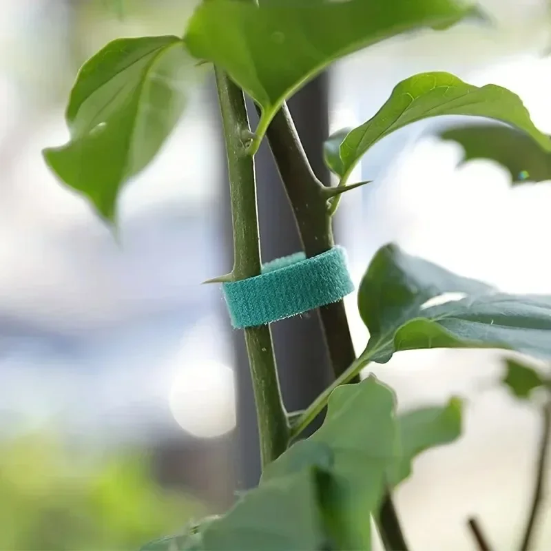 Self Adhesive Plant Nylon Cabl - Gear Tie Reusable reseña y precio