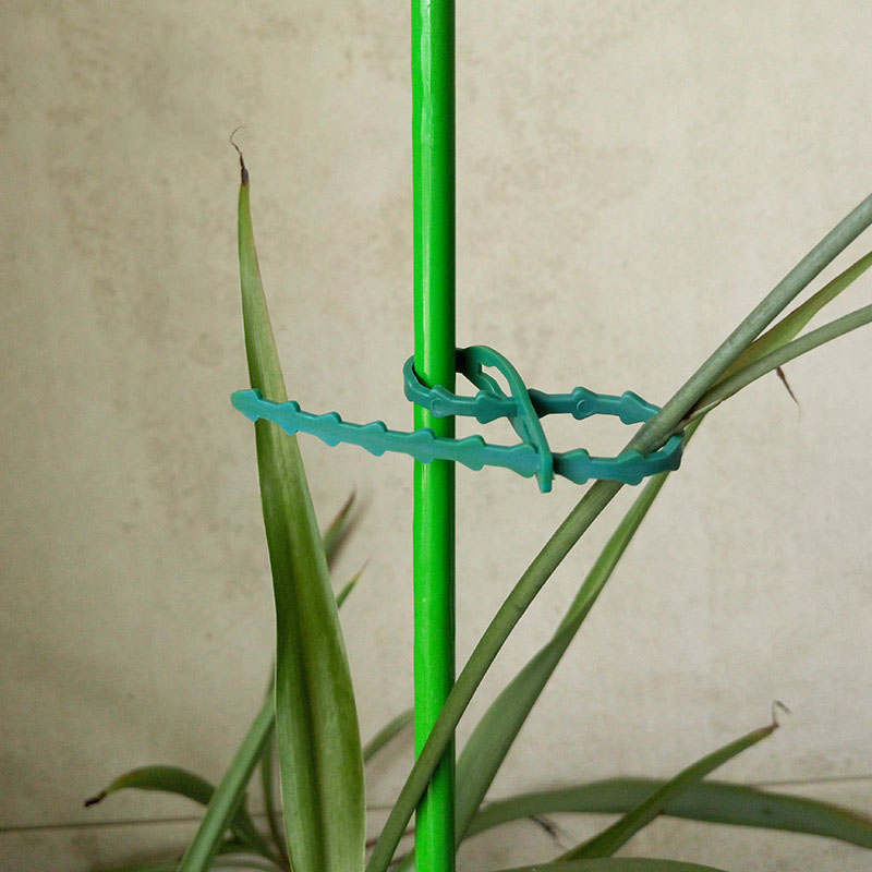 50/100Pcs Reusable Garden Cabl - Gear Tie Reusable reseña y precio